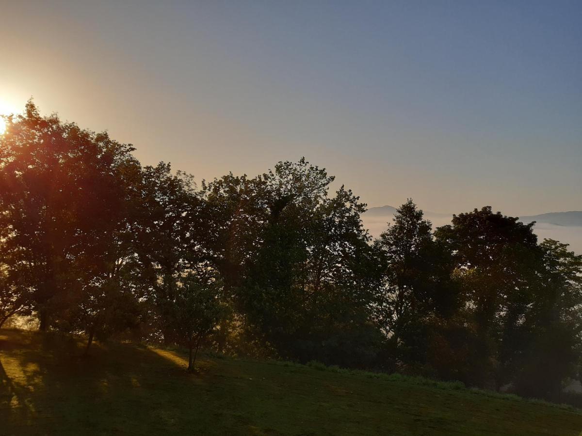 B&B Eguzkitza Elgeta Exteriér fotografie